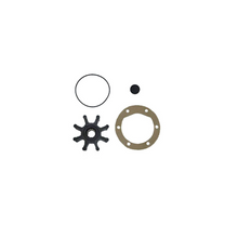Jabsco Impeller Kit - 920-0001-P